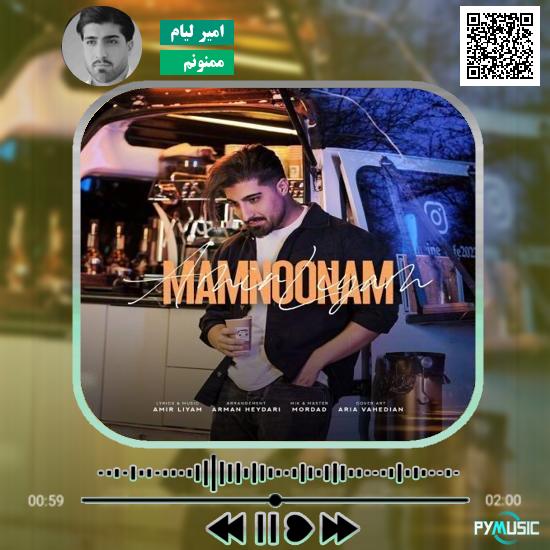 دانلود آهنگ ممنونم امیر لیام